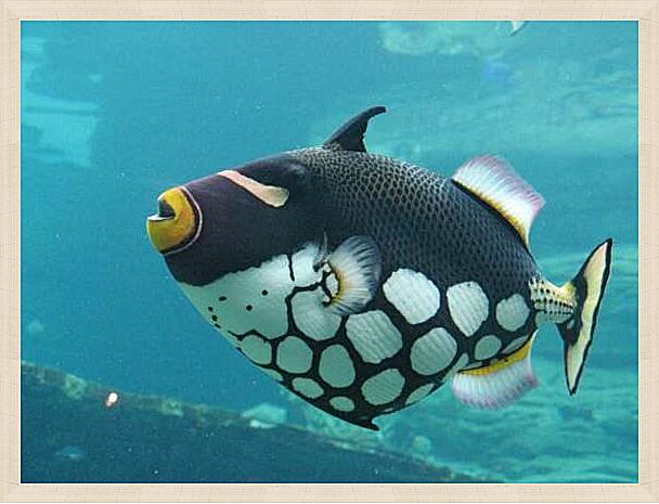 Картина - Пятнистый спинорог