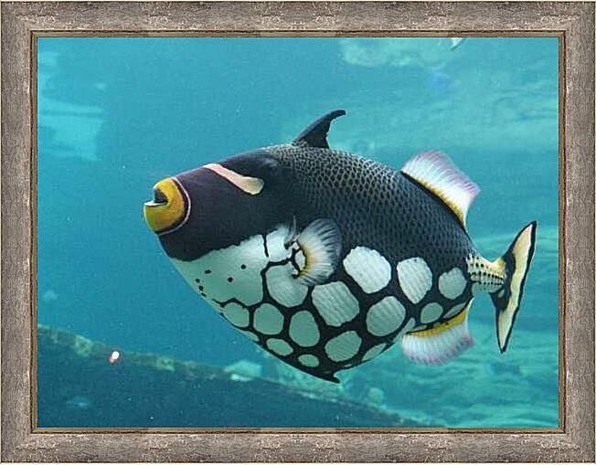 Картина - Пятнистый спинорог