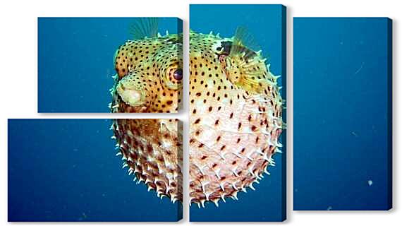 Модульная картина - Рыба ёж Фугу