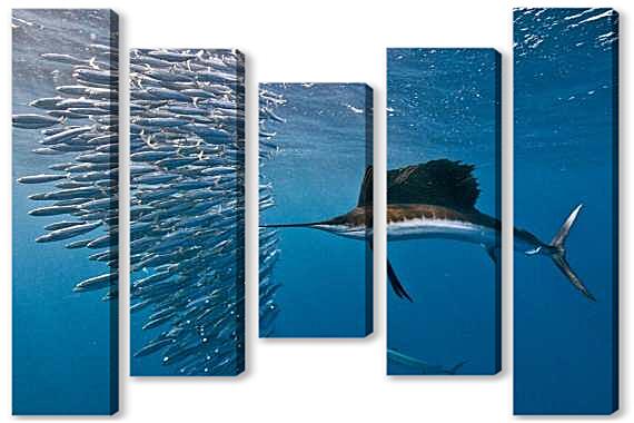 Модульная картина - Рыба парусник
