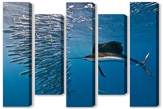 Модульная картина - Рыба парусник