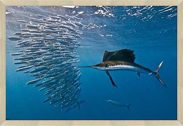 Картина - Рыба парусник