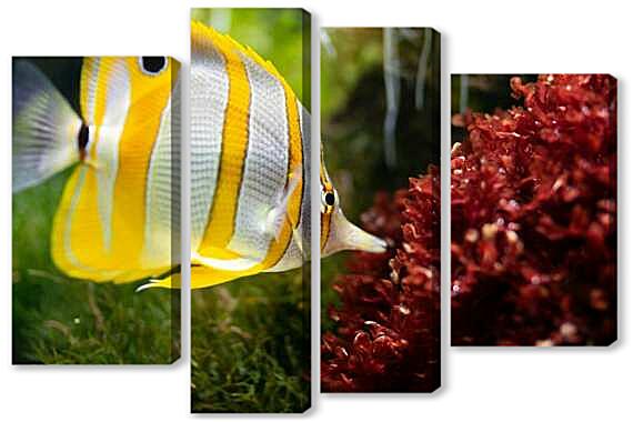 Модульная картина - Рыба-бабочка