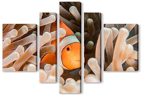 Модульная картина - Рыба в кораллах