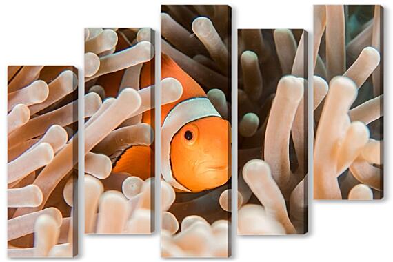 Модульная картина - Рыба в кораллах