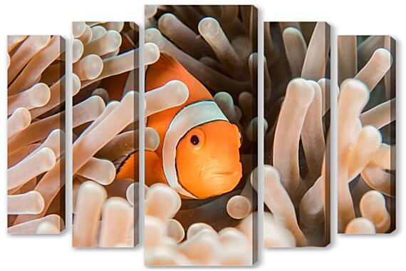 Модульная картина - Рыба в кораллах