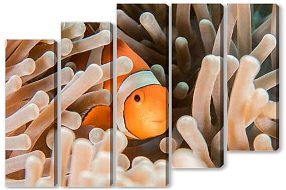 Модульная картина - Рыба в кораллах