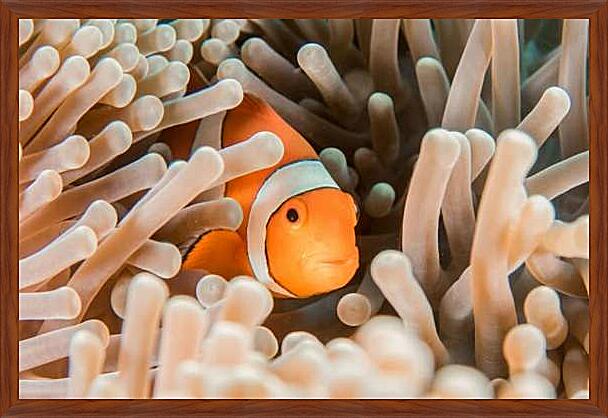 Картина - Рыба в кораллах