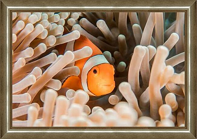Картина - Рыба в кораллах
