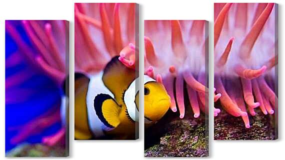Модульная картина - Рыба-клоун
