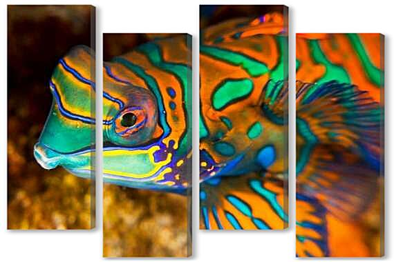 Модульная картина - Рыбка мандаринка