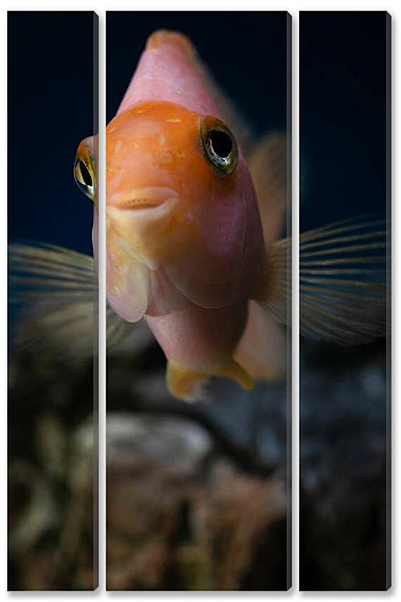 Модульная картина - Рыбка