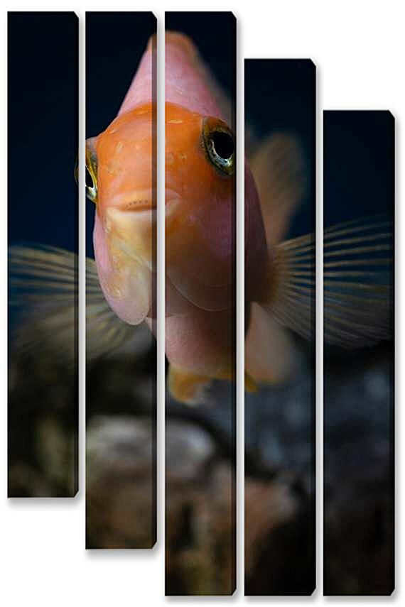 Модульная картина - Рыбка