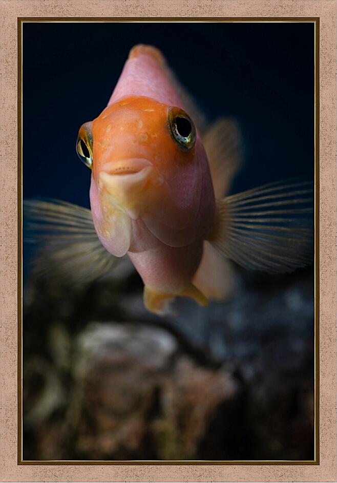 Картина - Рыбка