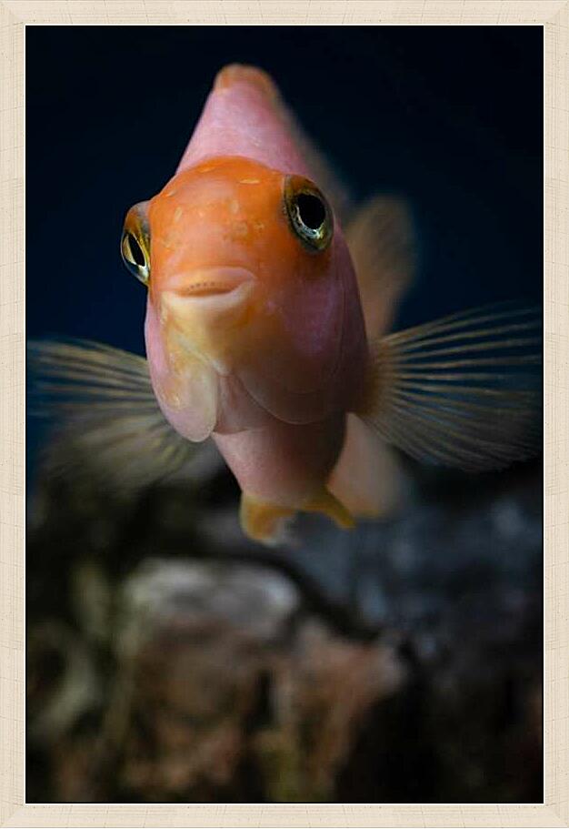 Картина - Рыбка