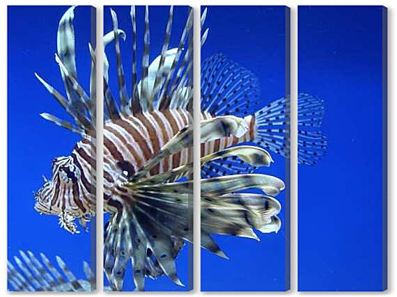 Модульная картина - Тигровая крылатка рыба