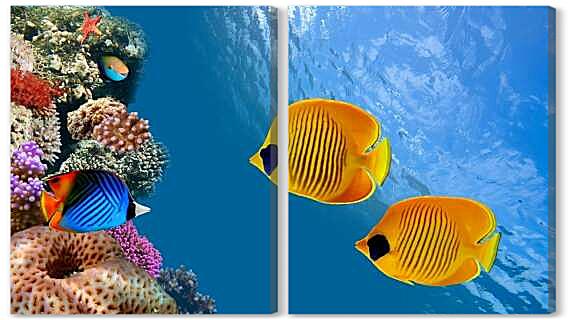 Модульная картина - Тропические рыбки