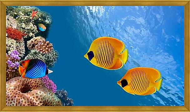 Картина - Тропические рыбки