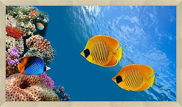 Картина - Тропические рыбки