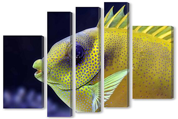 Модульная картина - Экзотические рыбки