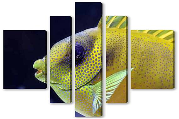 Модульная картина - Экзотические рыбки