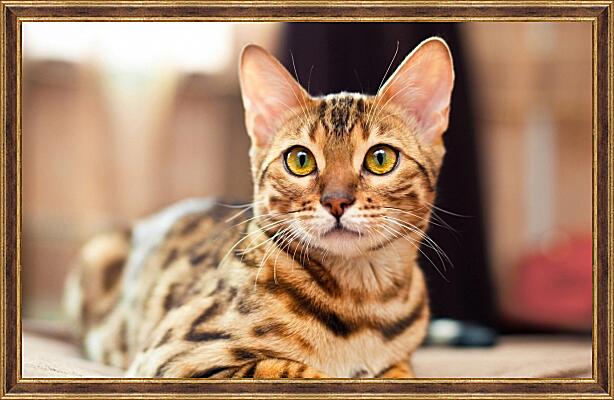 Картина - Бенгальская кошка