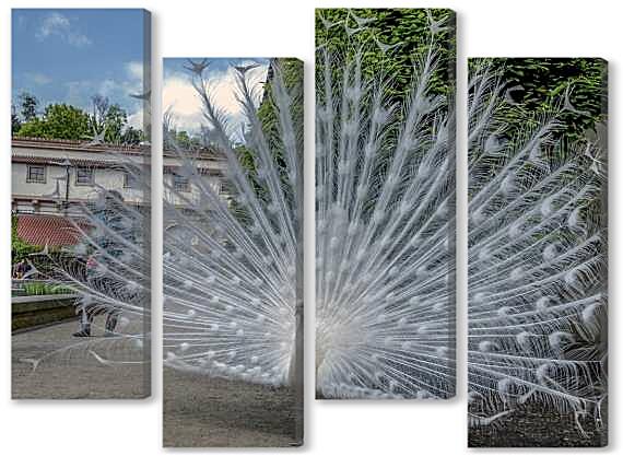 Модульная картина - Белый павлин