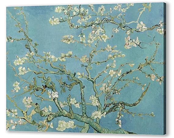 Постер (плакат) - Цветущие ветки миндаля, Ван Гог