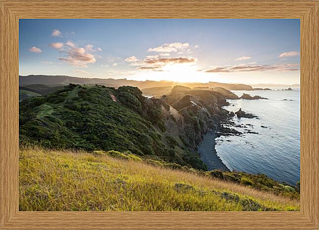 Картина - Север Новой Зеландии