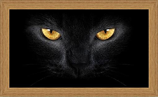 Картина - Взгляд черного кота