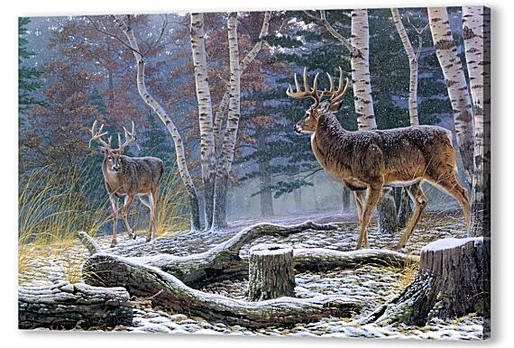 Картина маслом - Два лесных оленя
