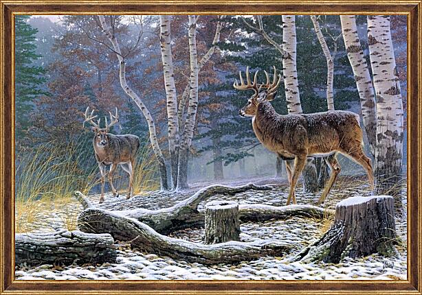 Картина - Два лесных оленя