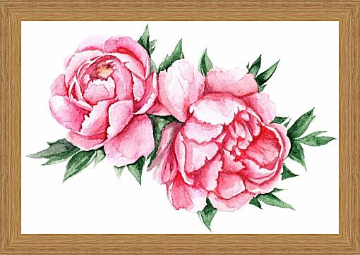 Картина - Розовые пионы