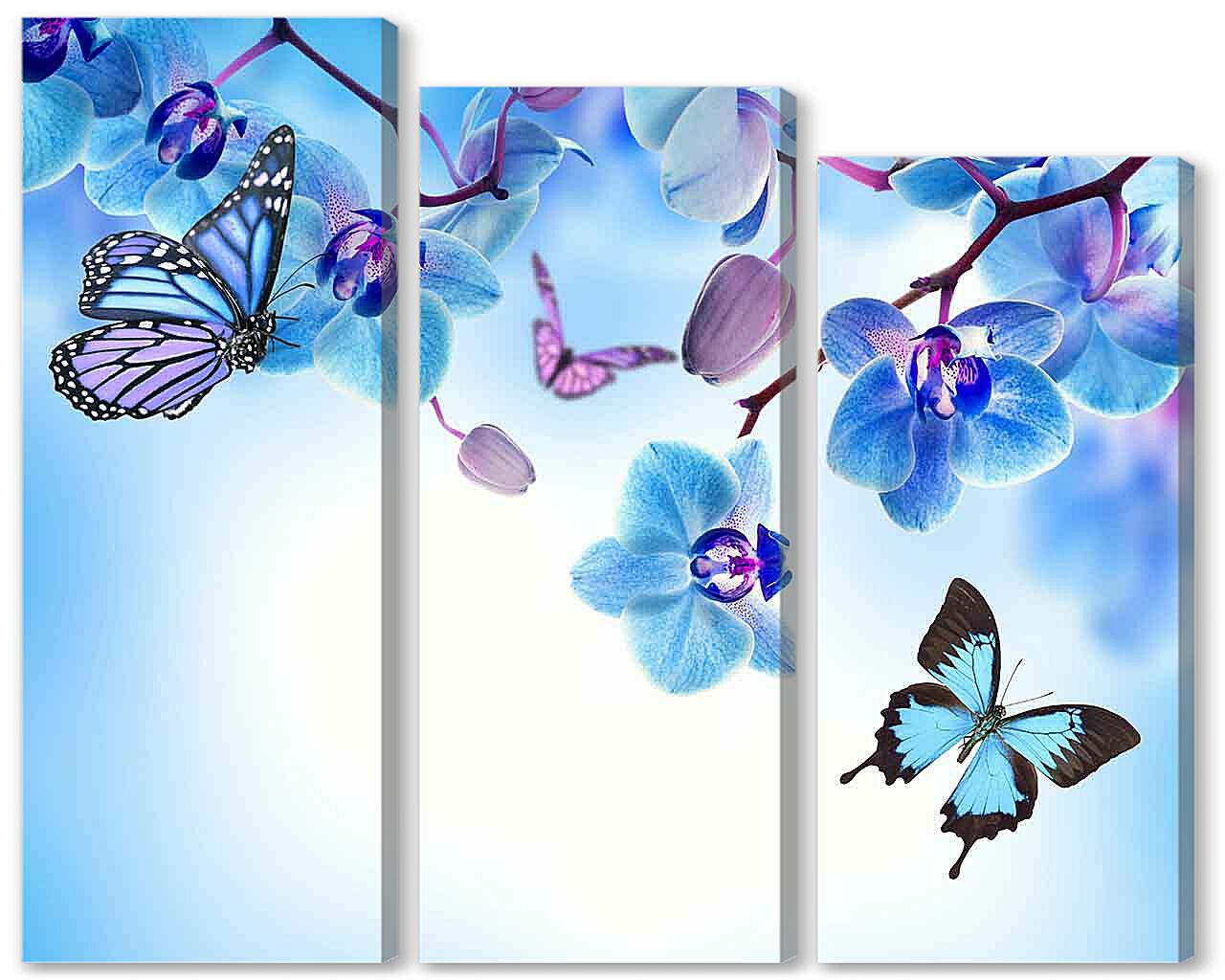 Модульная картина - Бабочки и голубые орхидеи
