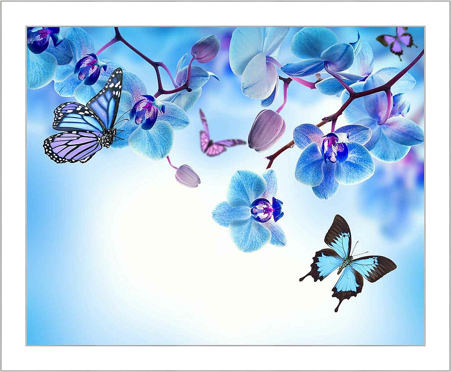 Картина - Бабочки и голубые орхидеи 
