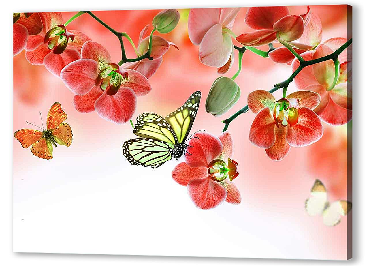 Постер (плакат) - Бабочки и красные орхидеи
