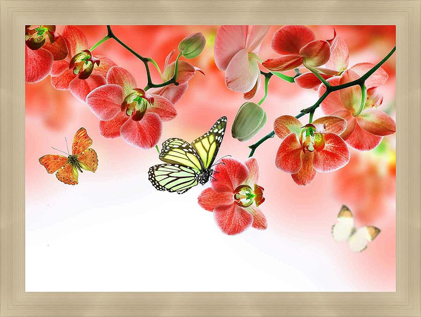 Картина - Бабочки и красные орхидеи 
