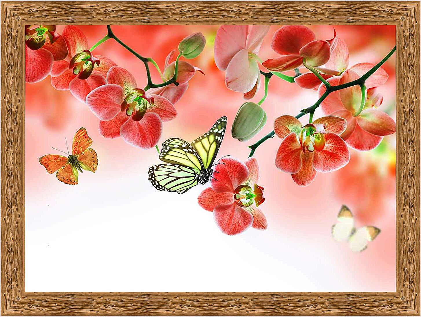 Картина - Бабочки и красные орхидеи
