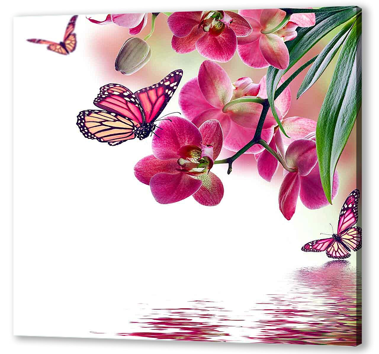 Постер (плакат) - Розовые бабочки и орхидеи
