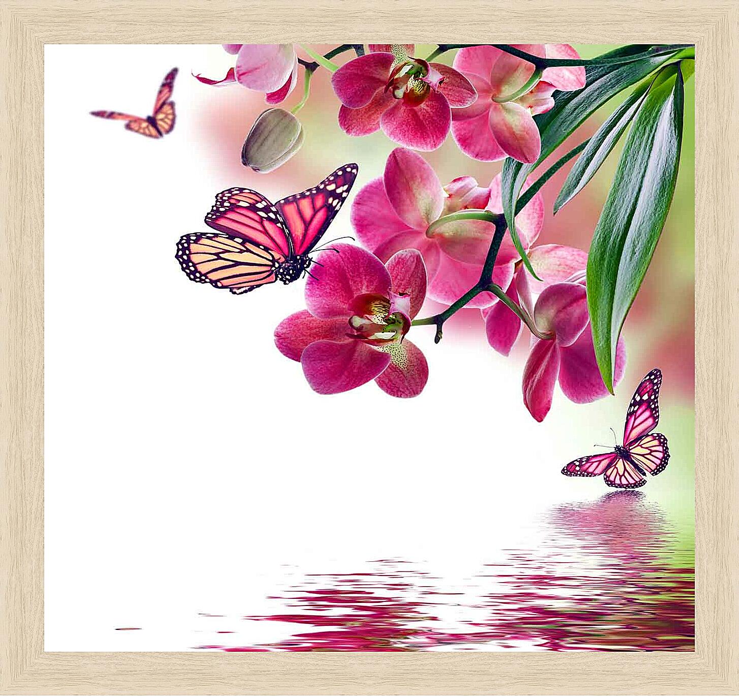 Картина - Розовые бабочки и орхидеи 

