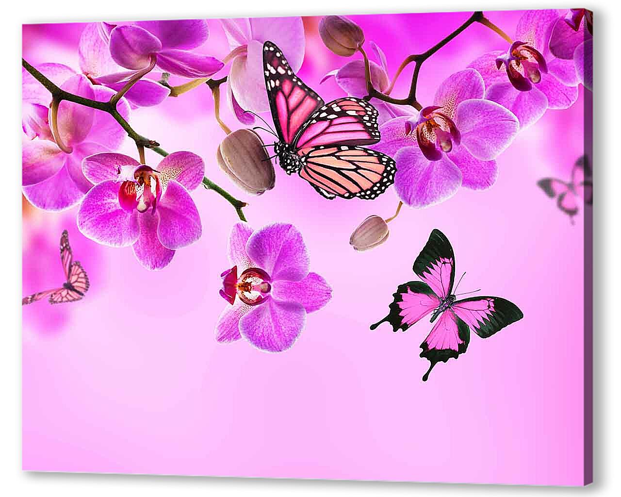 Постер (плакат) - Розовые орхидеи и бабочки
