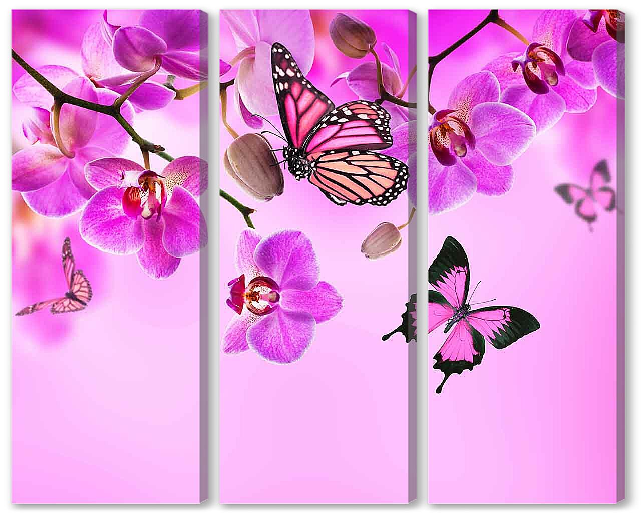 Модульная картина - Розовые орхидеи и бабочки
