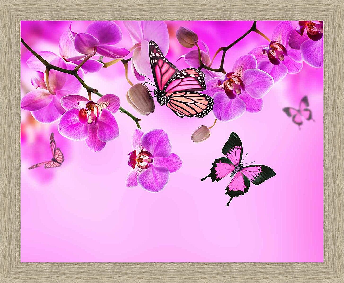 Картина - Розовые орхидеи и бабочки 
