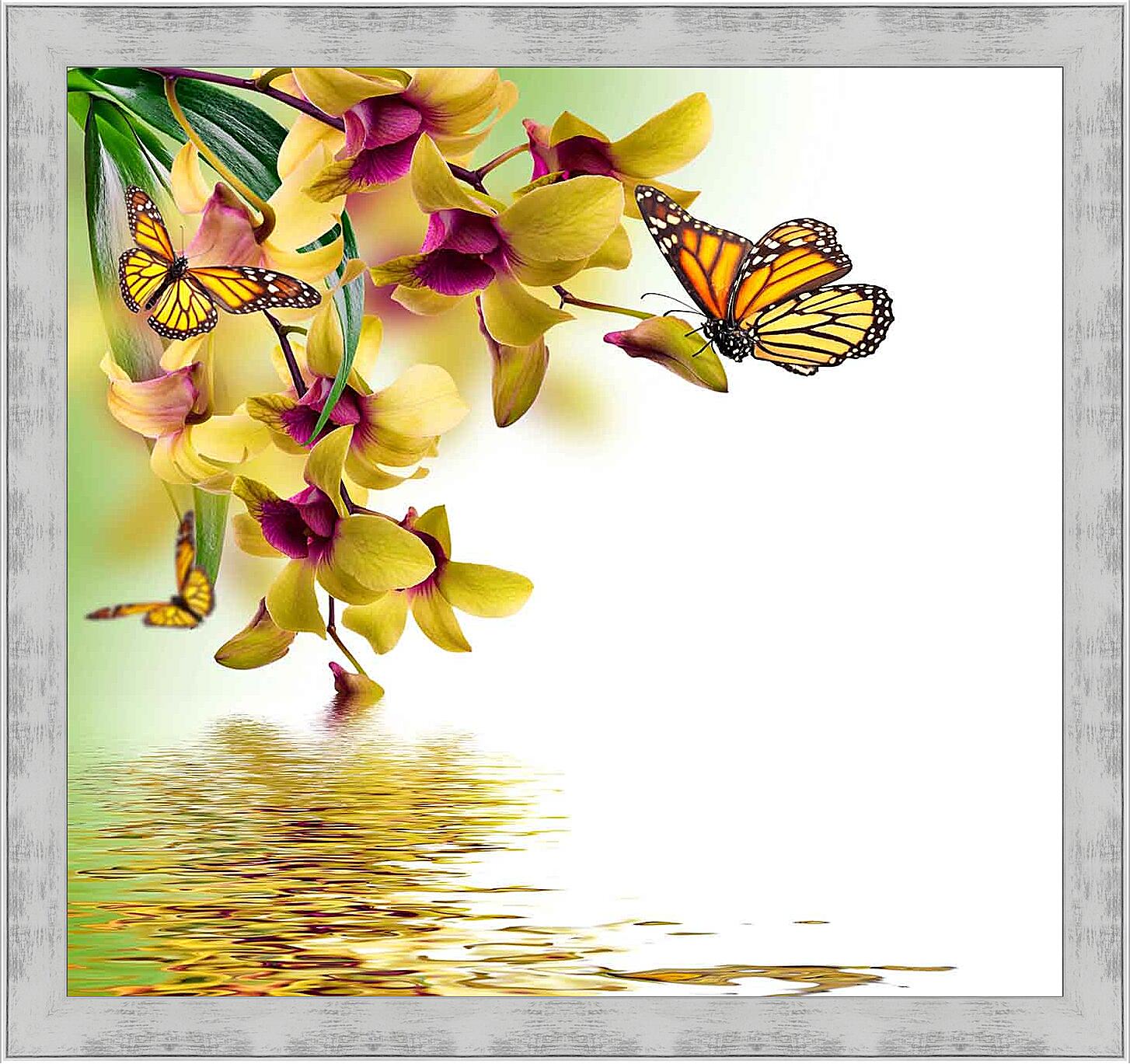 Картина - Желтые орхидеи и бабочки
