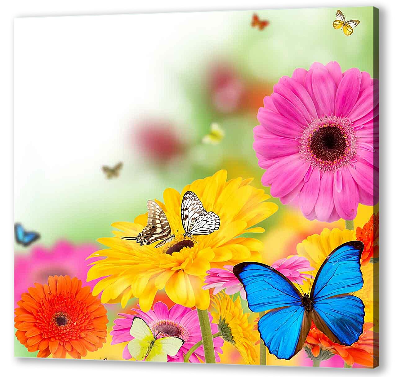 Постер (плакат) - Разноцветные бабочки и герберы 
