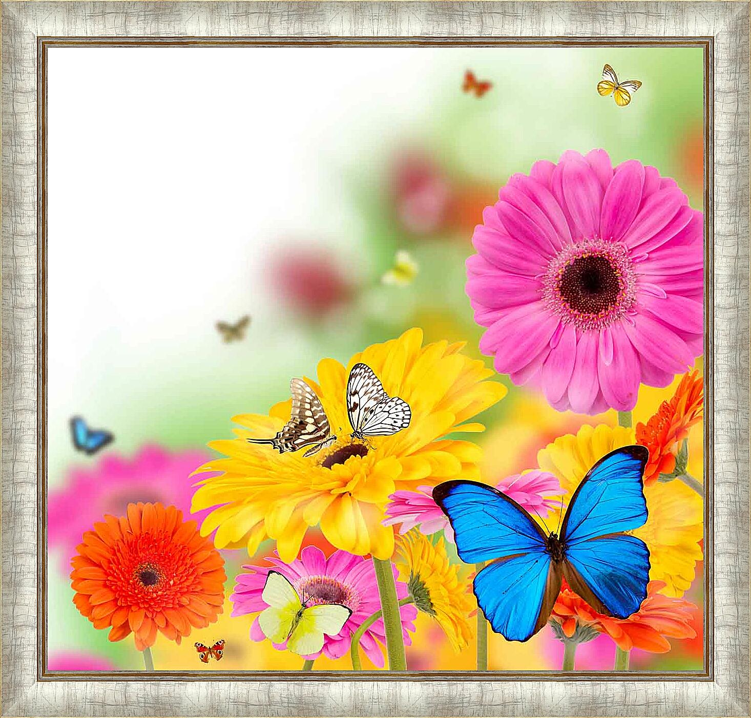 Картина - Разноцветные бабочки и герберы 
