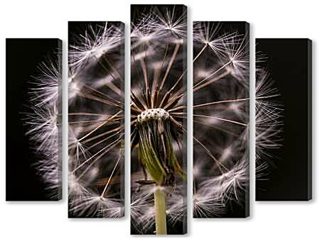 Модульная картина - Пушистый одуванчик
