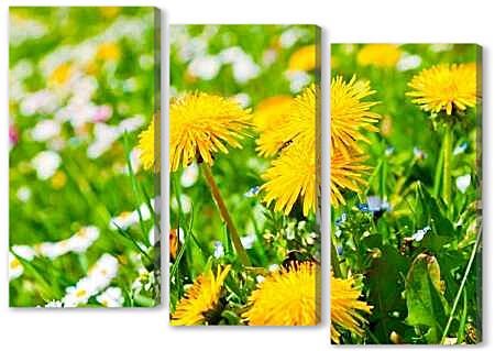 Модульная картина - Поляна одуванчиков