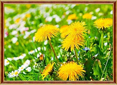 Картина - Поляна одуванчиков