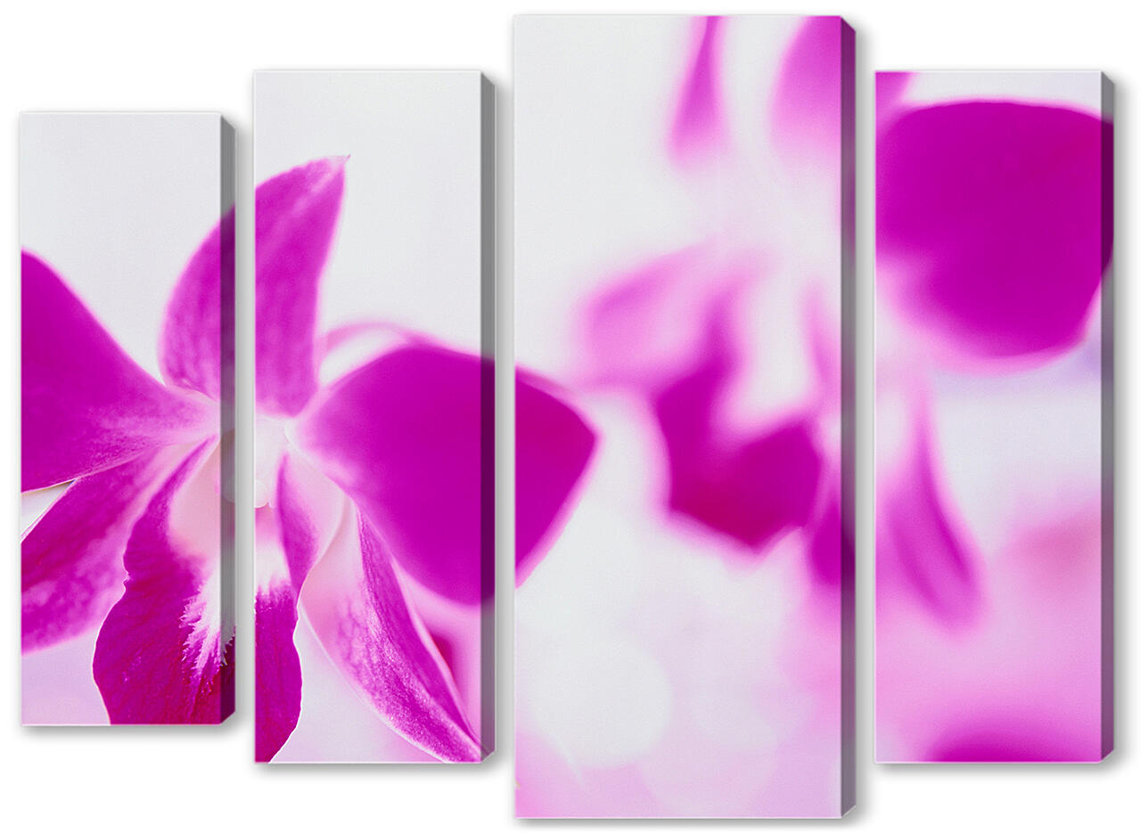 Модульная картина - Розовые орхидеи
